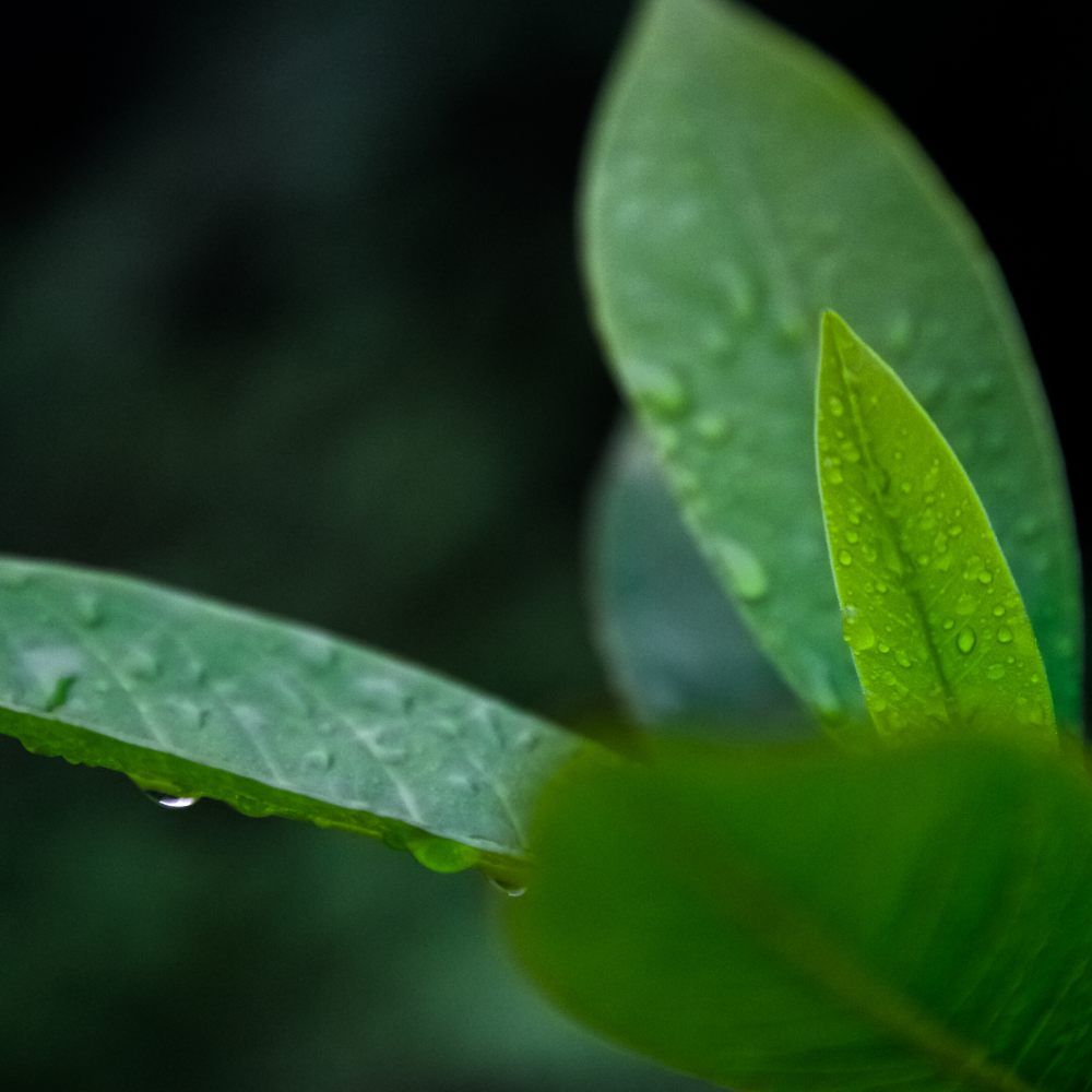 Untitled design(176)